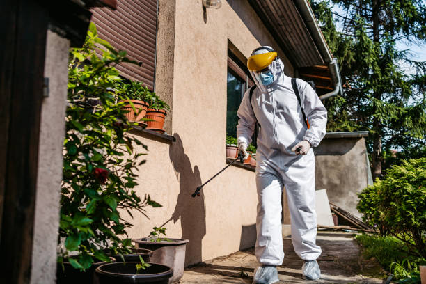Best Rat Extermination Near Me  in De Witt, NY