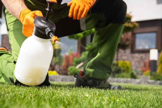 Best Local Pest Control Services  in De Witt, NY