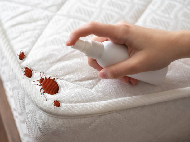 Best Local Pest Control Services  in De Witt, NY