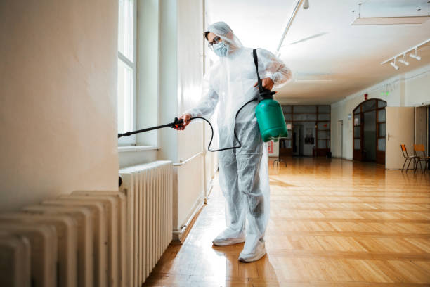 Best Bed Bug Extermination  in De Witt, NY